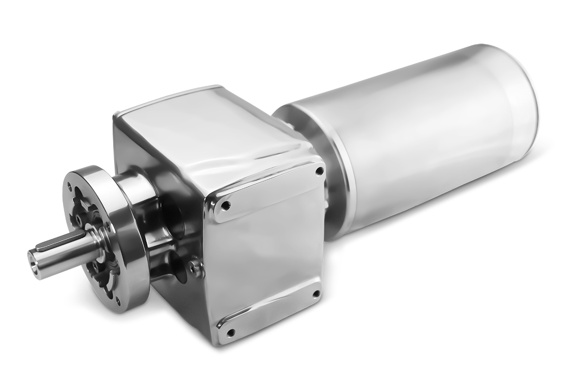 ESRF37-63-4-0,18 kW- 11 rpm Motor de engranaje recto de acero inoxidable